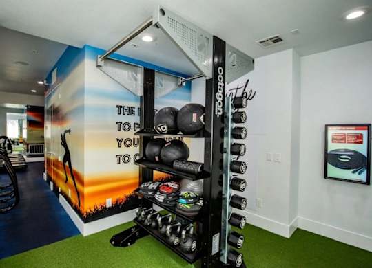 A gym with a wall mural that says "The way to your fitness is through this".