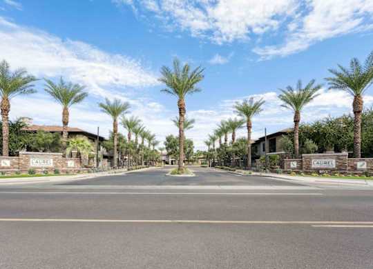 A street view of a residential area with palm trees and a sign that reads "CAULI".