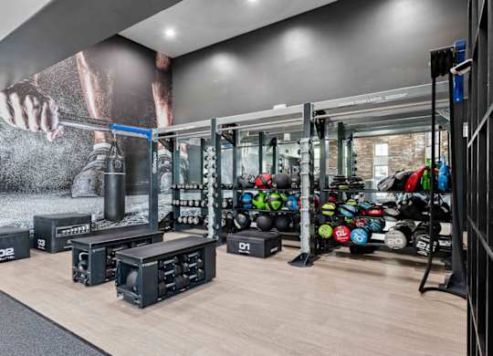 A gym with a variety of equipment including weights and weight racks.