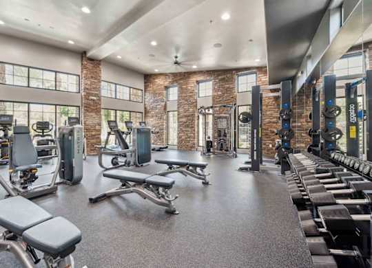 A gym with a variety of equipment including treadmills, weights, and benches.
