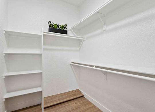 A small room with a white wall and a wooden floor with a shelf and a potted plant.