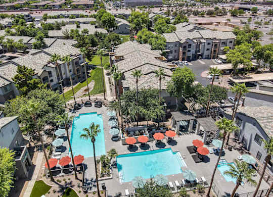 A pool surrounded by palm trees and umbrellas.