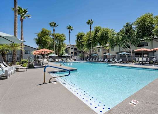 A pool surrounded by palm trees and lounge chairs.