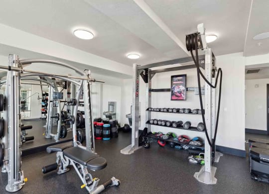 create a home gym in your basement