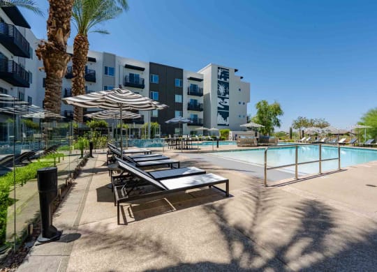 our apartments showcase a swimming pool