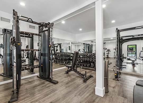 A gym with a variety of equipment including a squat rack, bench press, and a mirror.