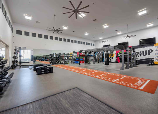 a wide angle view of the free weights area of the life time fitness gym