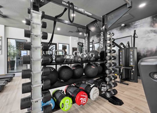 a home gym is a great method to save cash. take a look at the top home