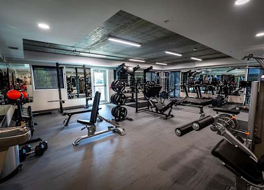 a fully equipped gym with weights and cardio equipment