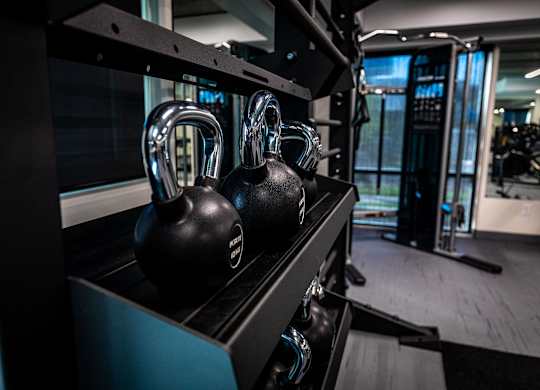 two black dumbbells on a rack in a gym