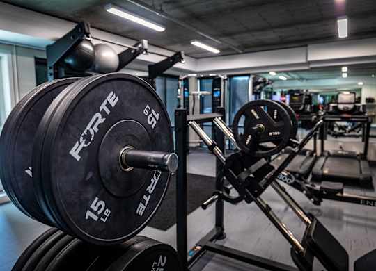 a row of dumbbells in a gym