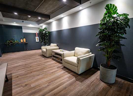 a waiting room with two chairs and a potted plant