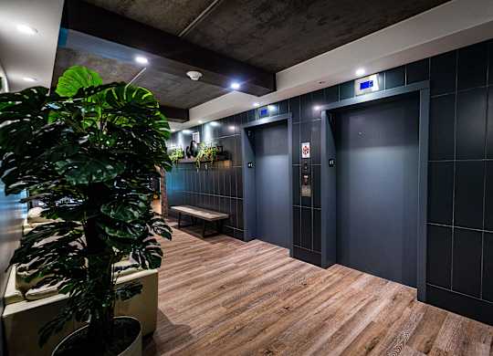 a lobby with three elevators and a plant