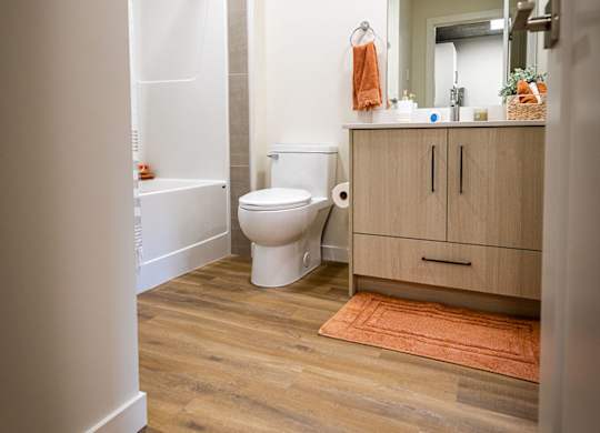 a bathroom with a toilet and a sink and a mirror