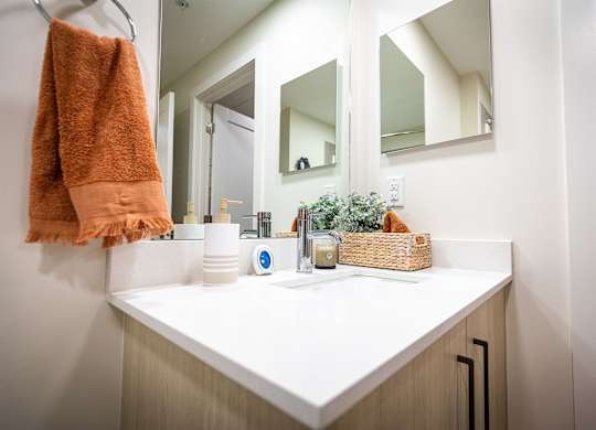 a bathroom with a sink and a mirror
