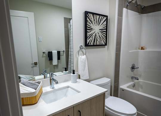 a bathroom with a sink toilet and a shower