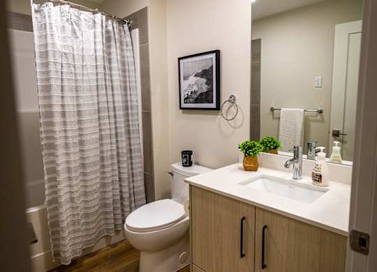 a bathroom with a toilet sink and a shower