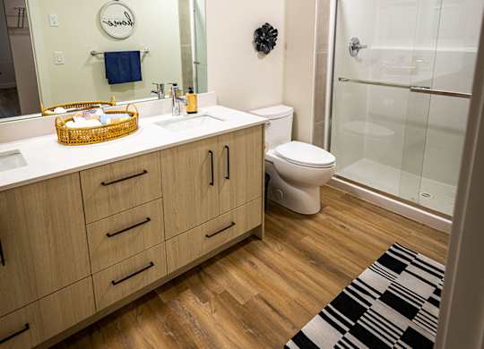 a bathroom with a sink and a toilet and a shower