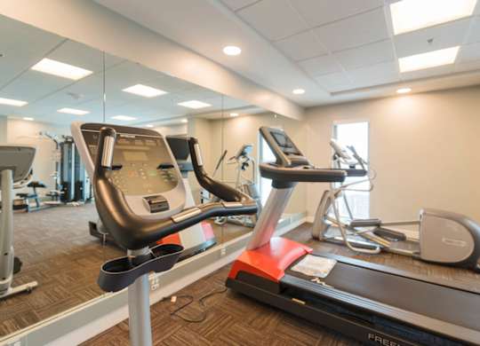 A gym with treadmills and elliptical machines.