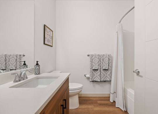 a bathroom with a sink and a toilet and a shower