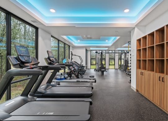 a gym with treadmills and other fitness equipment and windows