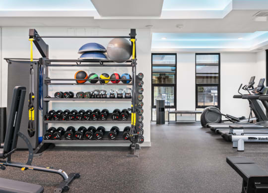 a gym with weights and cardio machines and a rack of spheres on the wall