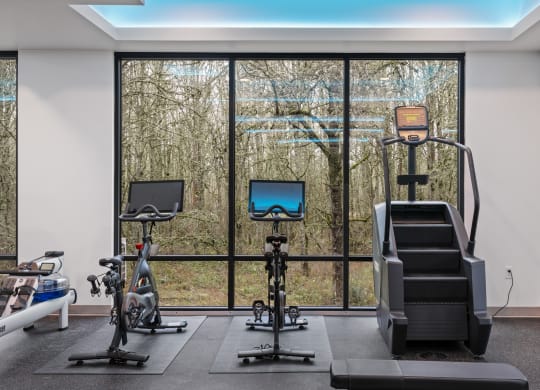 a gym with exercise equipment and window views of the woods