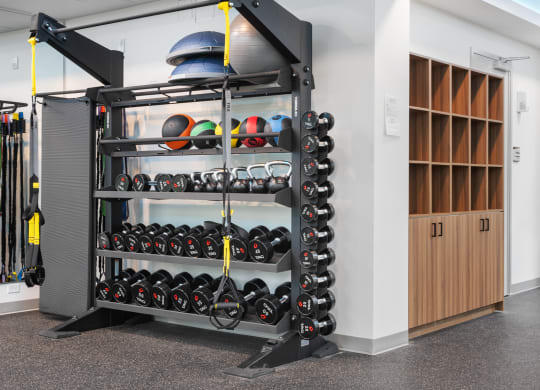a fitness room with a rack of dumbbells and a bench