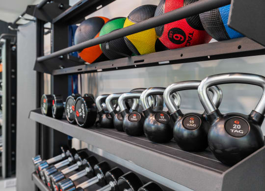 a row of dumbbells on a shelf in a gym