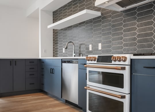 a kitchen with blue cabinets and a stainless steel oven and sink