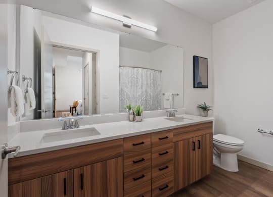a bathroom with a large mirror and a sink and a toilet