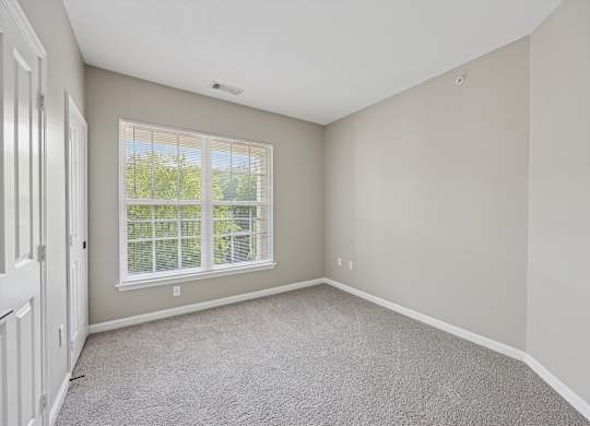 A room with a carpeted floor and a window with blinds.