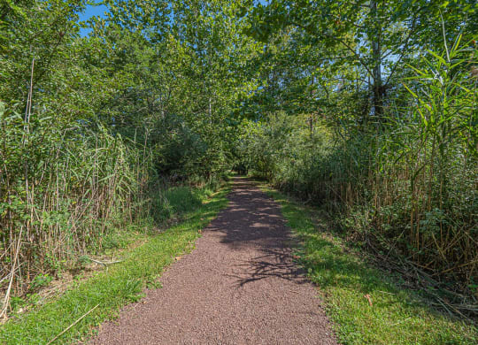 Nature Trail at Heritage Court, Ewing, New Jersey