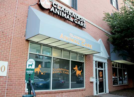A Clarendon Animal Care storefront with a parking meter in front.