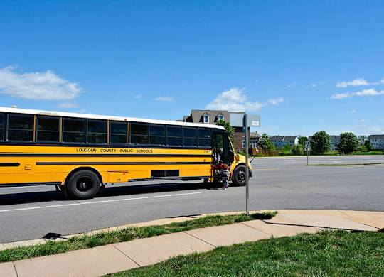 A yellow school bus is parked on the side of the road.