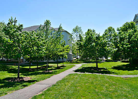 A pathway in a park with trees on either side.