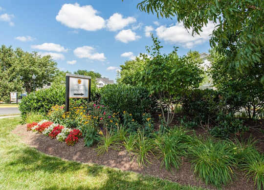 Sunny neighborhood community in Herndon, VA.