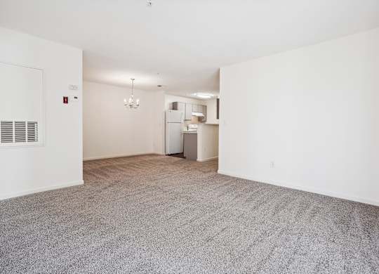 A room with a grey carpet and a white wall.