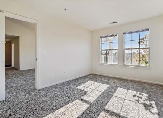 A room with a carpet and a window overlooking a city.