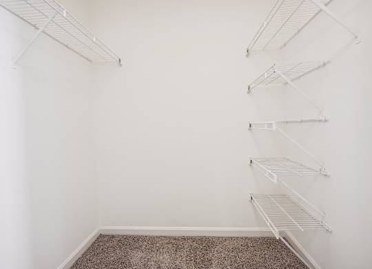 Empty room with white walls and shelves.
