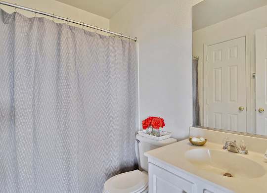 A bathroom with a white toilet, sink, and shower curtain.