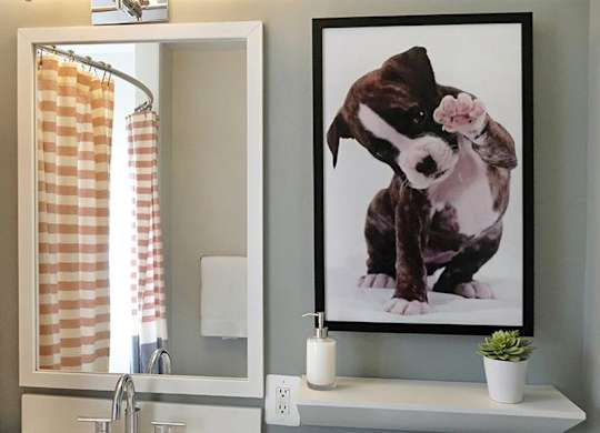 Upscale bathroom featuring framed vanity at Alister Morristown, Morristown, NJ, 07960