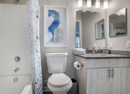 Bathroom with updated vanity and shower at Elme Herndon, Herndon, 20171