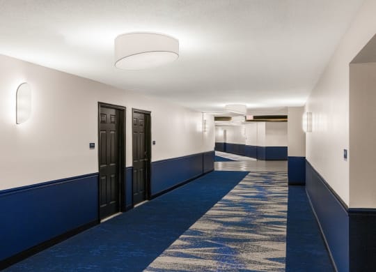 Hallway with doors and a blue and white carpet at Elme Alexandria, Virginia