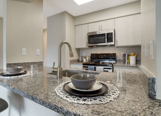 Renovated Kitchen with stainless steel appliances and granite countertops at Elme Germantown, Germantown Maryland
