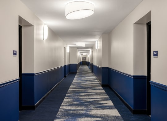 A long hallway with blue and white walls at Elme Alexandria, Alexandria, 22304