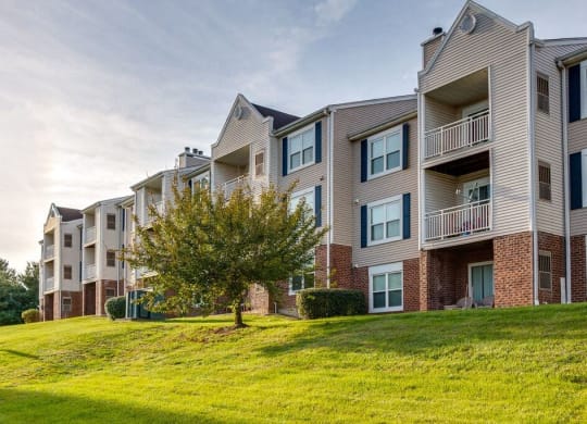 Exterior View  at Elme Manassas, Manassas