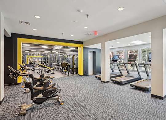 A gym with treadmills and exercise machines at Elme Alexandria, Alexandria, 22304