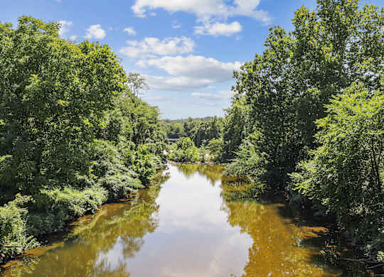 A river flows through a lush green forest.