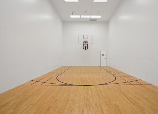 A basketball court with a net and hoop in the middle of the court.